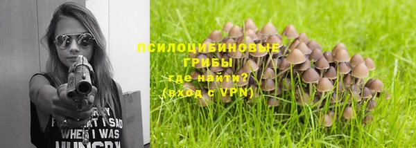 прущая мука Заволжск